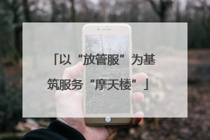 以“放管服”为基筑服务“摩天楼”