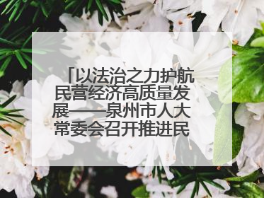 以法治之力护航民营经济高质量发展——泉州市人大常委会召开推进民营经济促进法贯彻实施座谈会
