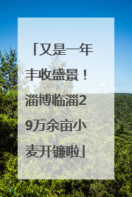 又是一年丰收盛景！淄博临淄29万余亩小麦开镰啦