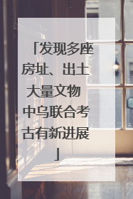 发现多座房址、出土大量文物 中乌联合考古有新进展