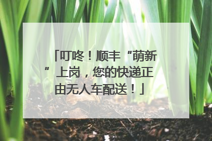 叮咚！顺丰“萌新”上岗，您的快递正由无人车配送！