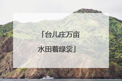台儿庄万亩水田着绿裳