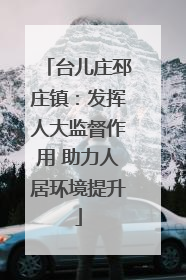 台儿庄邳庄镇：发挥人大监督作用 助力人居环境提升