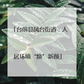台前县凤台街道：人居环境“焕”新颜