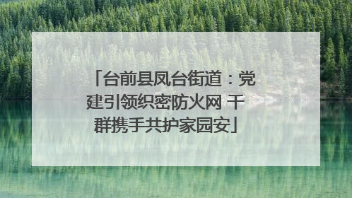 台前县凤台街道：党建引领织密防火网 干群携手共护家园安