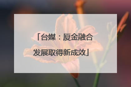 台媒：厦金融合发展取得新成效