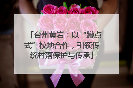 台州黄岩：以“蹲点式”校地合作，引领传统村落保护与传承