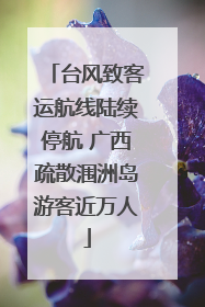 台风致客运航线陆续停航 广西疏散涠洲岛游客近万人