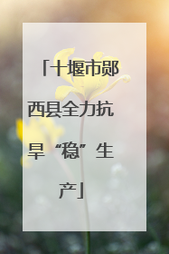 十堰市郧西县全力抗旱“稳”生产