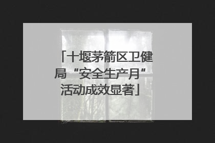 十堰茅箭区卫健局“安全生产月”活动成效显著