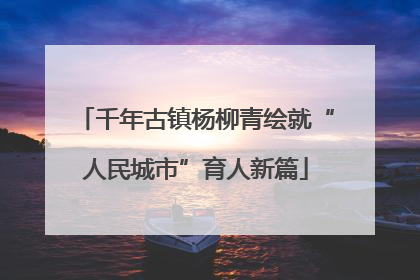 千年古镇杨柳青绘就“人民城市”育人新篇