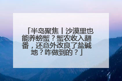 半岛聚焦丨沙漠里也能养螃蟹？蟹农收入翻番，还意外改良了盐碱地？咋做到的？