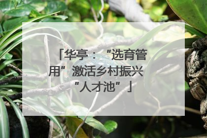 华亭：“选育管用”激活乡村振兴“人才池”