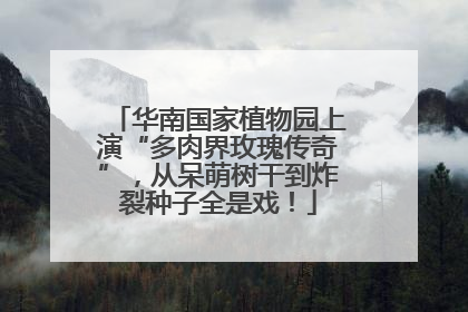 华南国家植物园上演“多肉界玫瑰传奇”，从呆萌树干到炸裂种子全是戏！