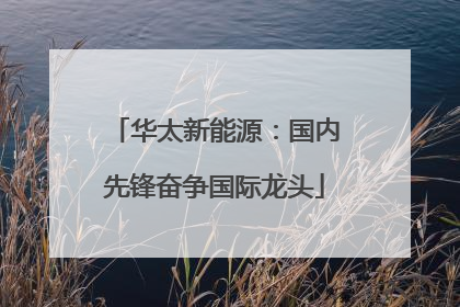 华太新能源：国内先锋奋争国际龙头