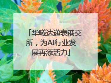 华曦达递表港交所，为AI行业发展再添活力