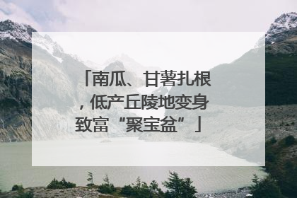 南瓜、甘薯扎根，低产丘陵地变身致富“聚宝盆”