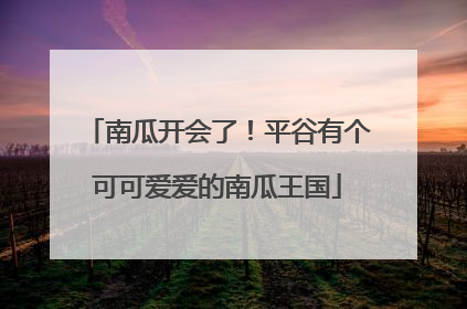 南瓜开会了！平谷有个可可爱爱的南瓜王国
