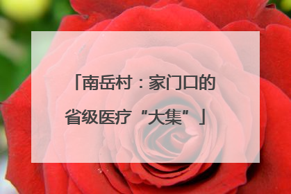 南岳村：家门口的省级医疗“大集”