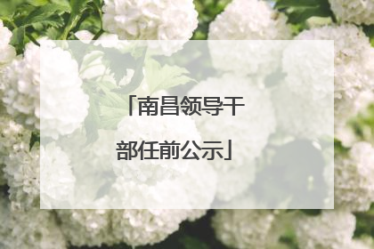南昌领导干部任前公示