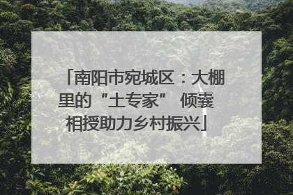 南阳市宛城区：大棚里的“土专家” 倾囊相授助力乡村振兴