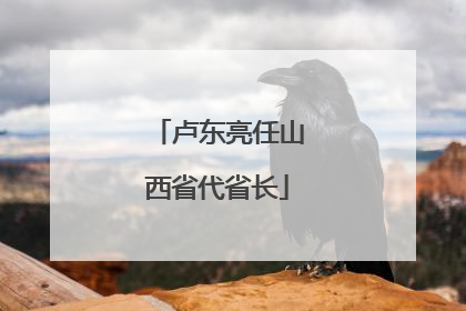 卢东亮任山西省代省长