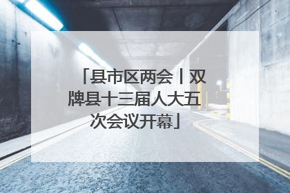 县市区两会丨双牌县十三届人大五次会议开幕