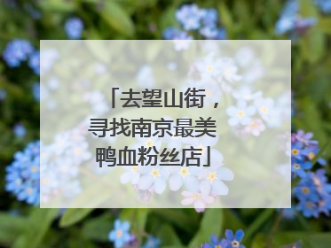 去望山街，寻找南京最美鸭血粉丝店