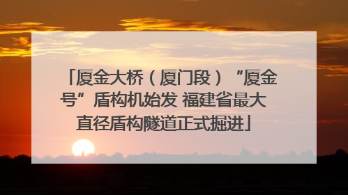 厦金大桥（厦门段）“厦金号”盾构机始发 福建省最大直径盾构隧道正式掘进