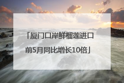 厦门口岸鲜榴莲进口 前5月同比增长10倍