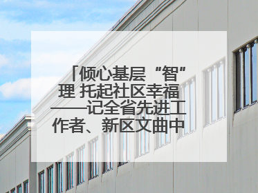 倾心基层“智”理 托起社区幸福——记全省先进工作者、新区文曲中心社区党委书记董世弘