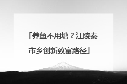 养鱼不用塘？江陵秦市乡创新致富路径