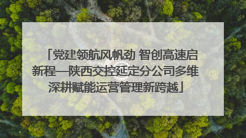 党建领航风帆劲 智创高速启新程—陕西交控延定分公司多维深耕赋能运营管理新跨越