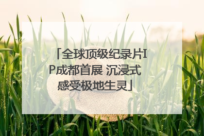 全球顶级纪录片IP成都首展 沉浸式感受极地生灵
