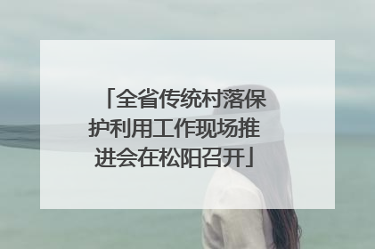 全省传统村落保护利用工作现场推进会在松阳召开