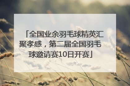 全国业余羽毛球精英汇聚孝感，第二届全国羽毛球邀请赛10日开赛