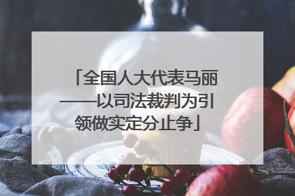 全国人大代表马丽——以司法裁判为引领做实定分止争