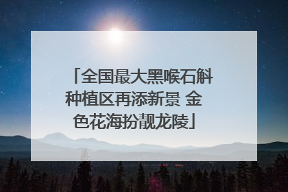 全国最大黑喉石斛种植区再添新景 金色花海扮靓龙陵