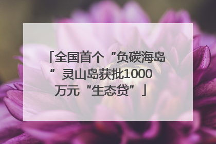 全国首个“负碳海岛”灵山岛获批1000万元“生态贷”