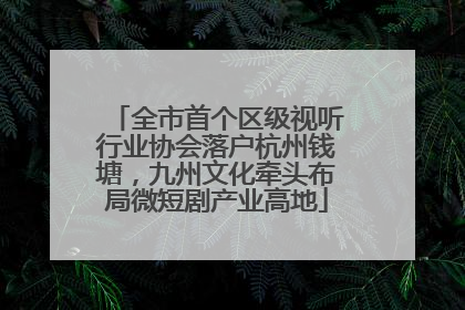 全市首个区级视听行业协会落户杭州钱塘，九州文化牵头布局微短剧产业高地