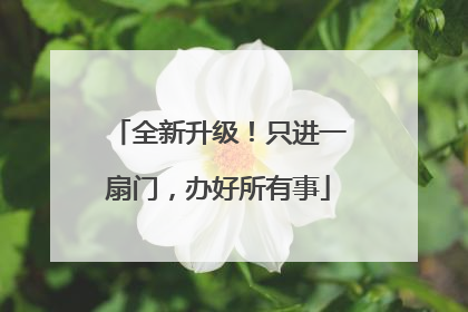 全新升级！只进一扇门，办好所有事