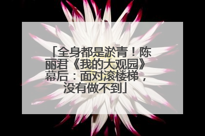 全身都是淤青！陈丽君《我的大观园》幕后：面对滚楼梯，没有做不到