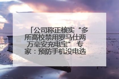 公司称正核实“多所高校禁用罗马仕两万毫安充电宝” 专家：预防手机没电选中等体积产品即可
