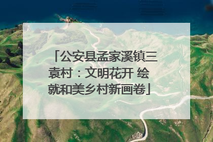 公安县孟家溪镇三袁村：文明花开 绘就和美乡村新画卷