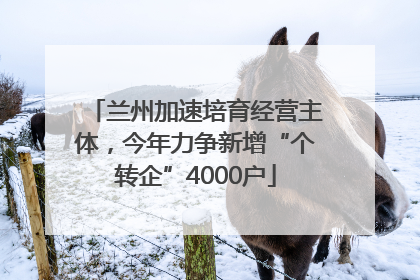 兰州加速培育经营主体，今年力争新增“个转企”4000户