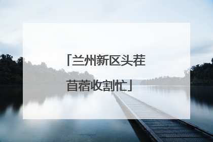 兰州新区头茬苜蓿收割忙