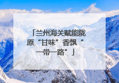 兰州海关赋能陇原“甘味”香飘“一带一路”