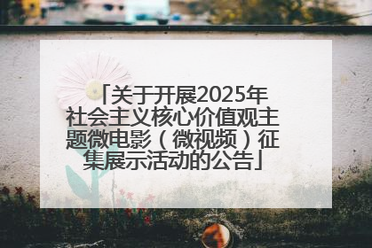 关于开展2025年社会主义核心价值观主题微电影（微视频）征集展示活动的公告