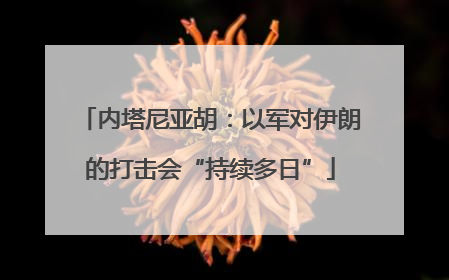 内塔尼亚胡：以军对伊朗的打击会“持续多日”