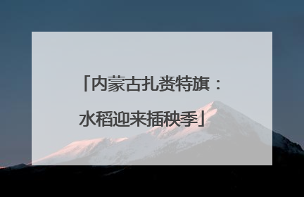 内蒙古扎赉特旗：水稻迎来插秧季